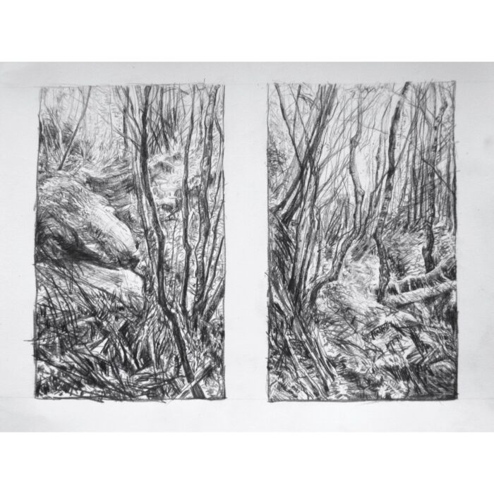 Fairy Bower 9