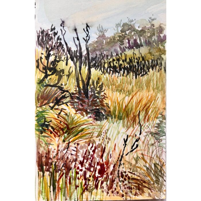 Golden Swamp Leura