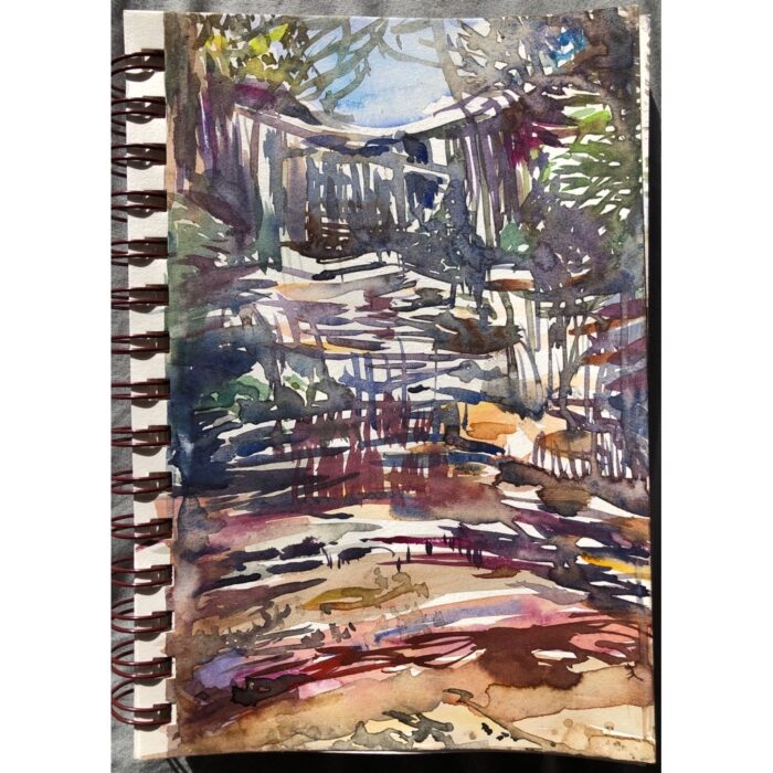 Junction Falls Lawson