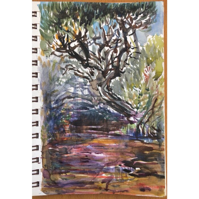 Katoomba Creek above Rainbow Falls