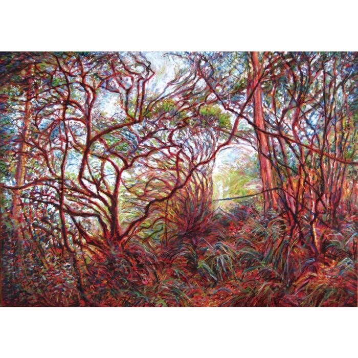 Katoomba Falls Track