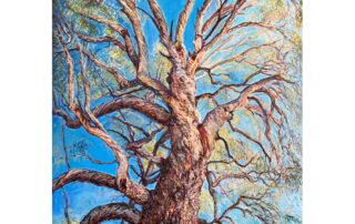 ‘Murrumbidgee River Red Gum’ oil on linen 100cm x 130cm 2023 $10000. AUD commissioned