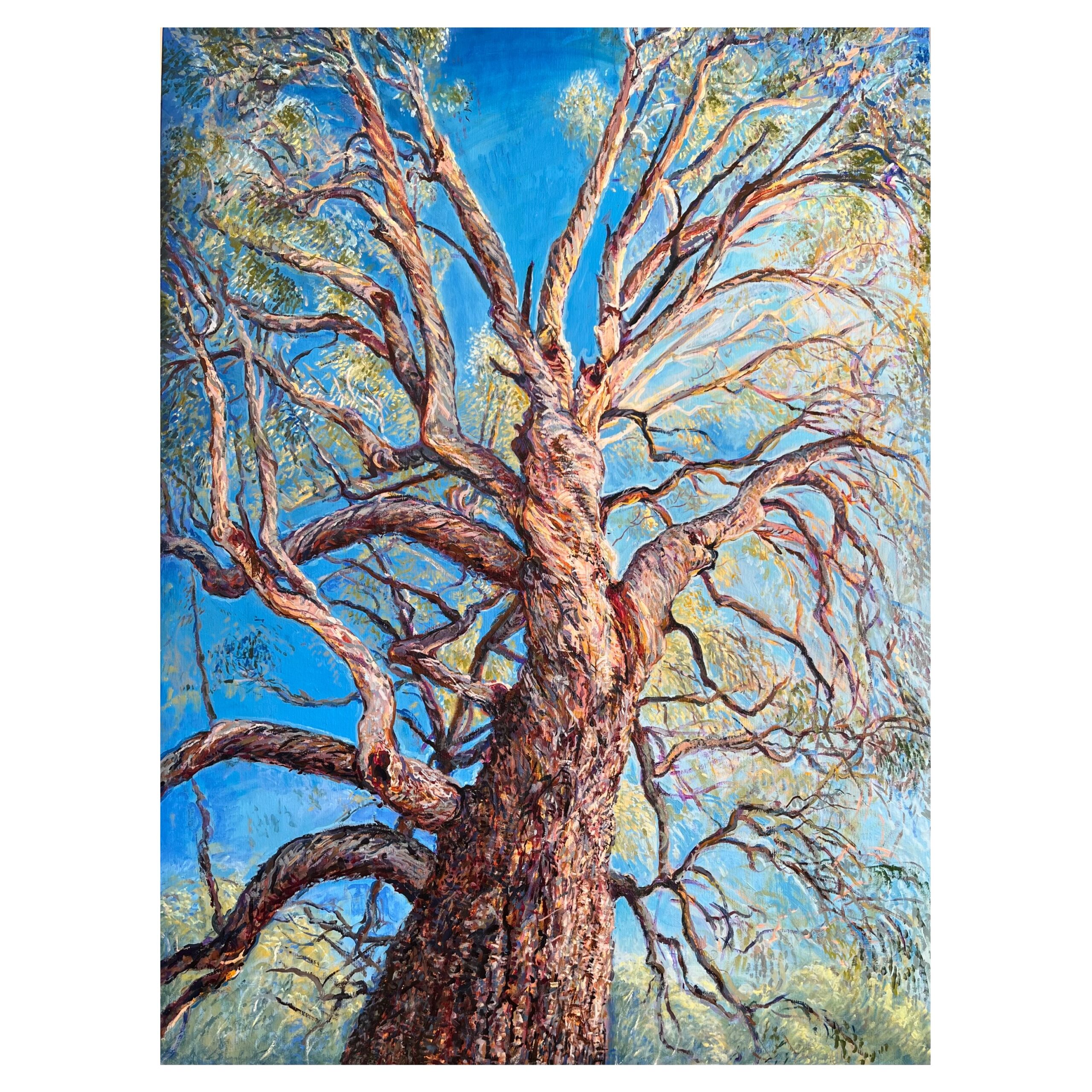 ‘Murrumbidgee River Red Gum’ oil on linen 100cm x 130cm 2023 $10000. AUD commissioned