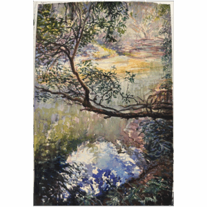  On the edge of a great wilderness known as the Blue Labyrinth lies Bedford Creek. Wandering downstream, one becomes enveloped in a beautiful forested gorge. Mirror-like reflections create an earth-heaven. 