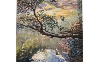 On the edge of a great wilderness known as the Blue Labyrinth lies Bedford Creek. Wandering downstream, one becomes enveloped in a beautiful forested gorge. Mirror-like reflections create an earth-heaven.