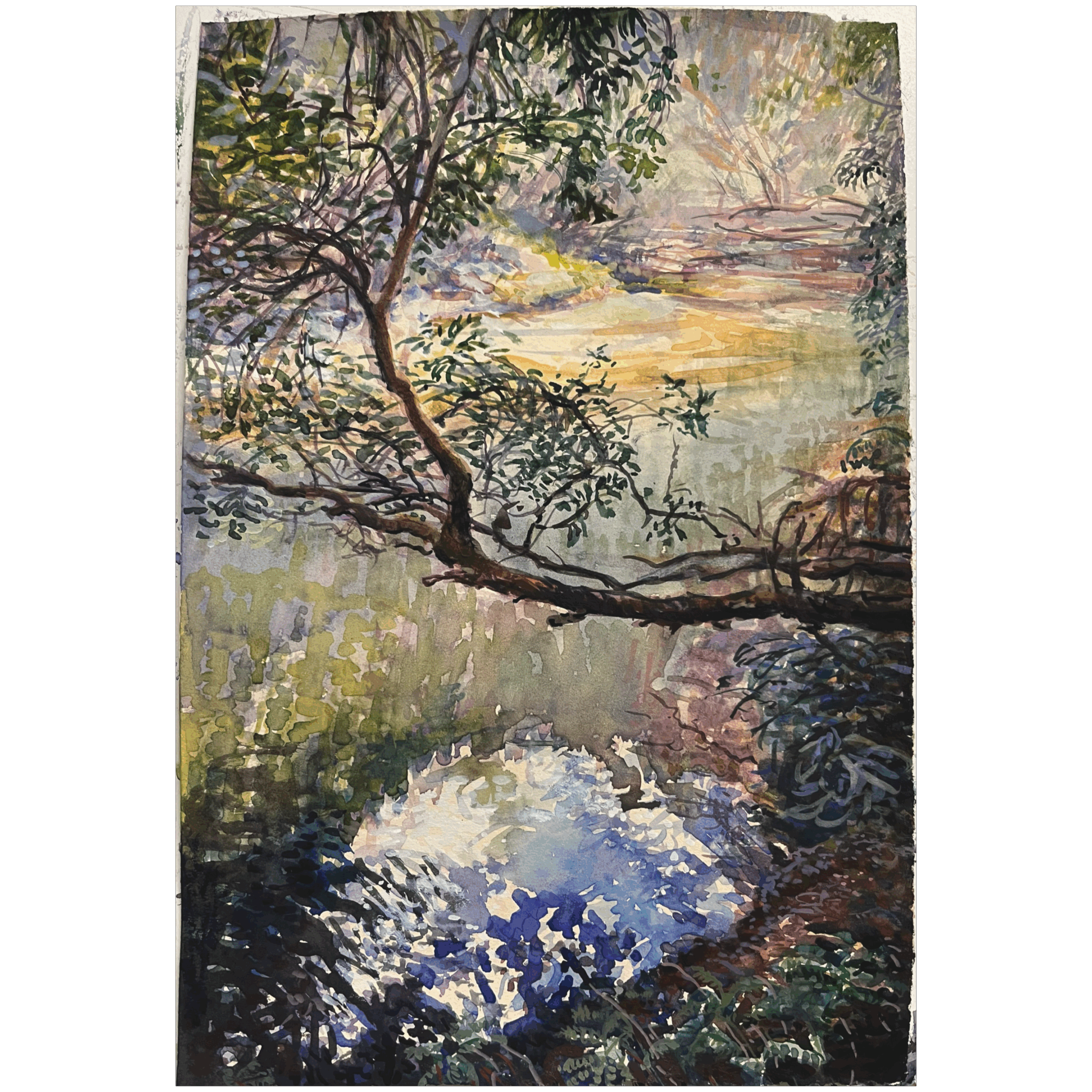 On the edge of a great wilderness known as the Blue Labyrinth lies Bedford Creek. Wandering downstream, one becomes enveloped in a beautiful forested gorge. Mirror-like reflections create an earth-heaven.