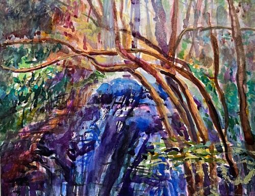 Commended Blue Mountains Art Prize